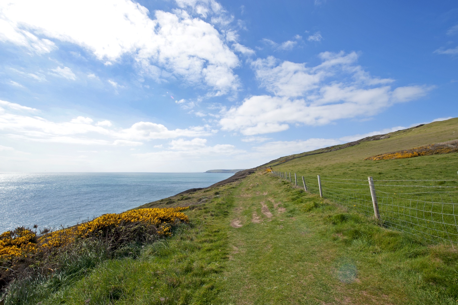 durlston-nature-reserve-uk