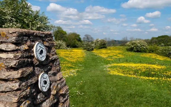 cotswold way web