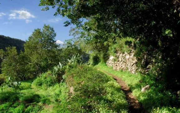 cruz del carmen