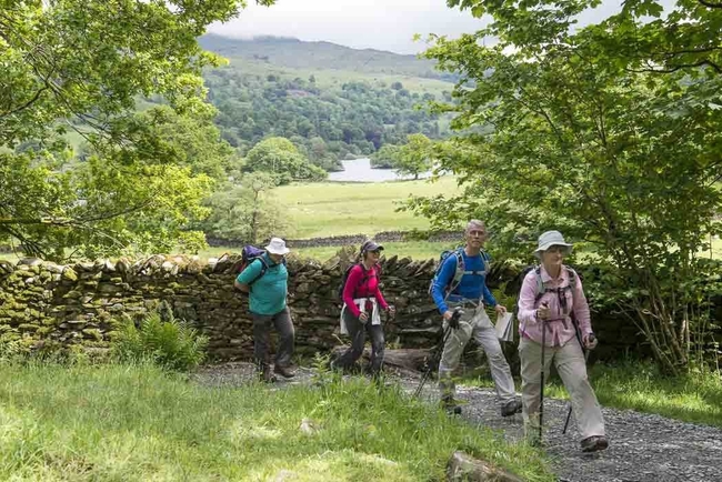 loughrigg fell terrace walk from Rydal Walking guide treeline loughrigh terrace by daniel wildey 1389105010