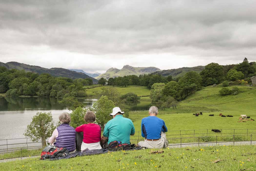 loughrigg tarn loughrigh terrace by daniel wildey