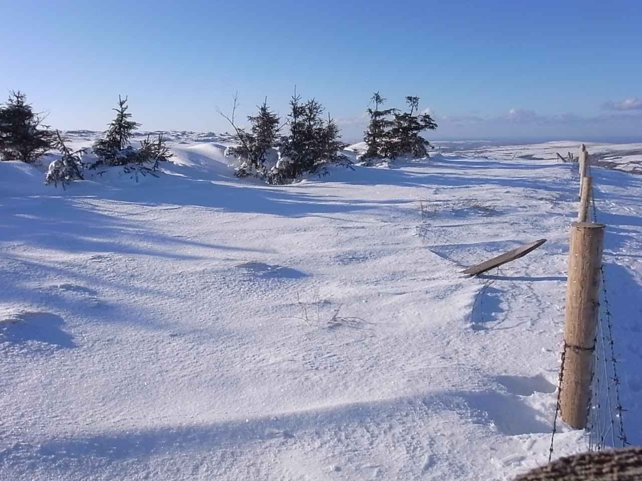 preseli ridge