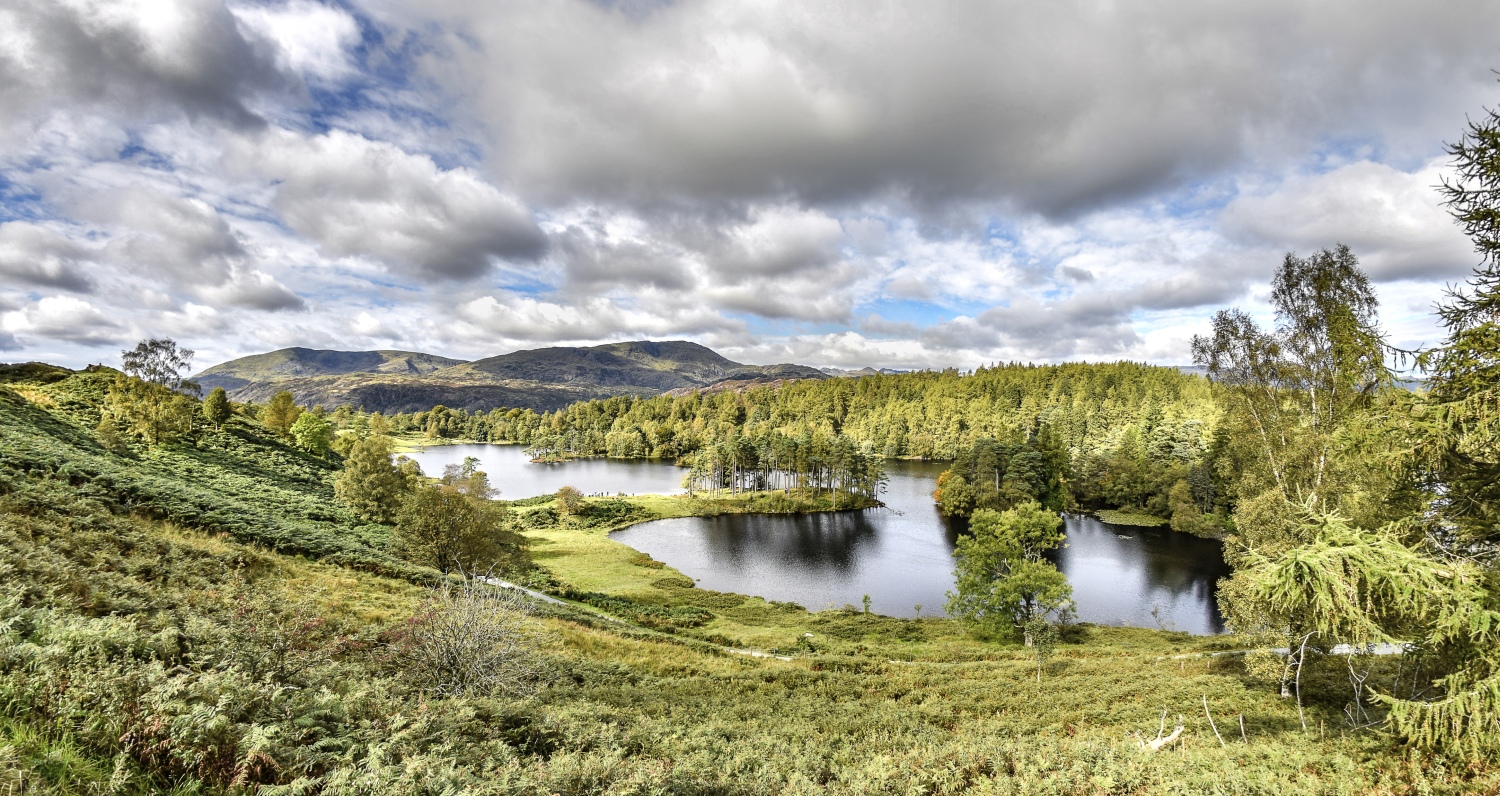 tarn-hows-lake-district-uk